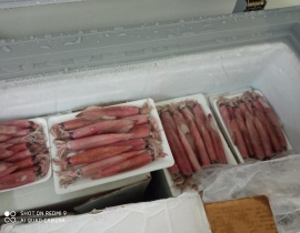 MỰC TRỨNG 9/12A  VỈ 500G